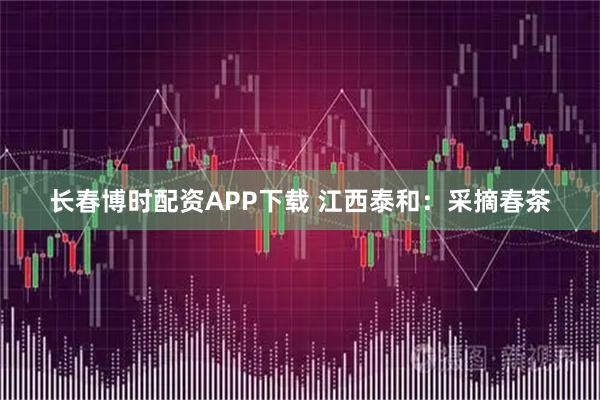 长春博时配资APP下载 江西泰和：采摘春茶
